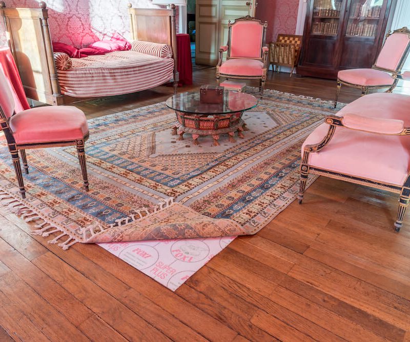 Mise en situation Foxi Super Plus sous tapis antidérapant pour établissement de prestige